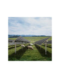 Agrifarm Conterra sistema tracker agrivoltaico monoassiale Contact